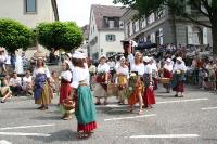 IMG_6539 (2) 